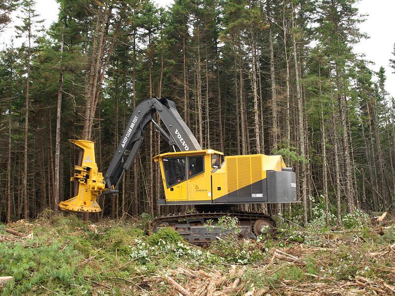 Volvo Feller Buncher (Track) Undercarriage